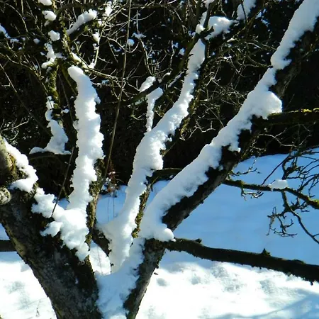 Amtmannhaus Ferienunterkunft *