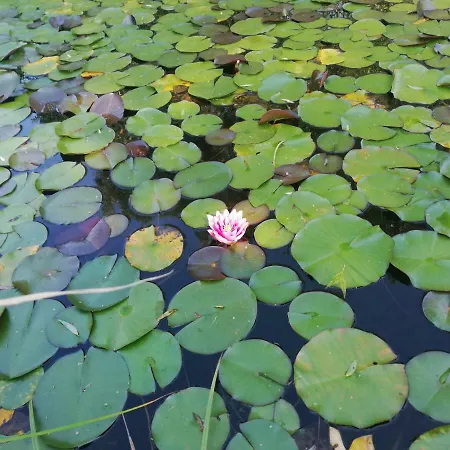 Amtmannhaus Ferienunterkunft * اردننغ