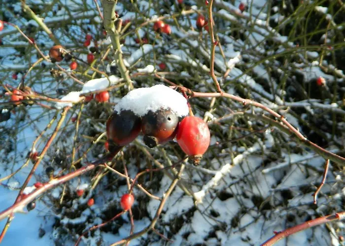 Budgetzimmer Irdning * Irdning