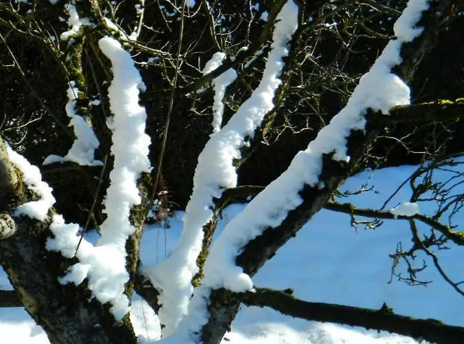 Budgetzimmer Irdning *