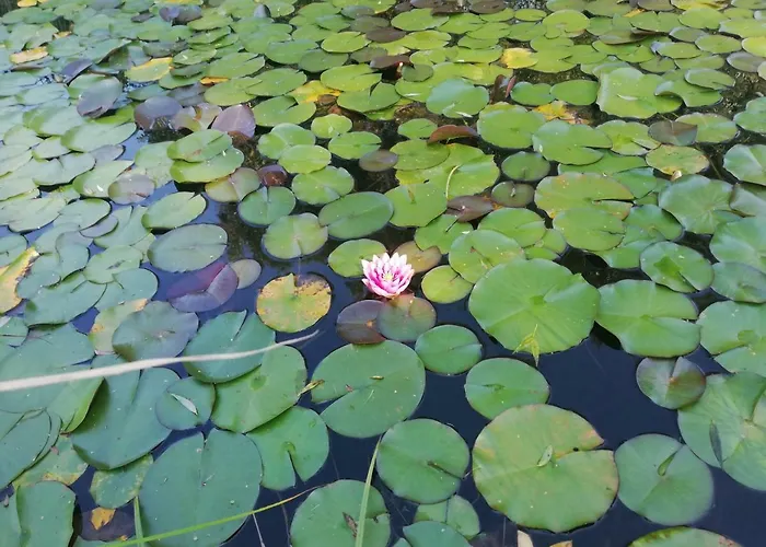 Budgetzimmer Irdning * Irdning